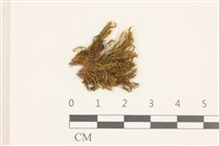 登錄號:B00008779藏品圖，第1張