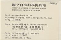 登錄號:B00008794藏品圖，第2張