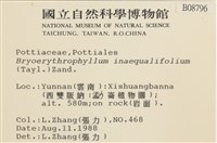 登錄號:B00008796藏品圖，第2張