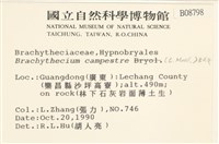 登錄號:B00008798藏品圖，第2張