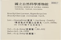 登錄號:B00008817藏品圖，第2張