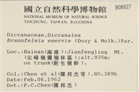 登錄號:B00008827藏品圖，第2張