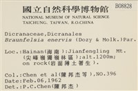 登錄號:B00008828藏品圖，第2張