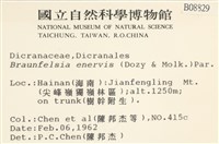 登錄號:B00008829藏品圖，第2張