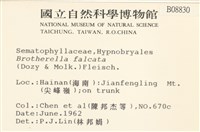 登錄號:B00008830藏品圖，第2張
