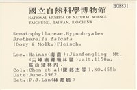 登錄號:B00008831藏品圖，第2張