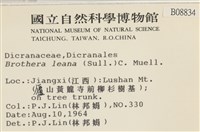 登錄號:B00008834藏品圖，第2張