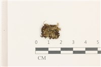 登錄號:B00008835藏品圖，第1張