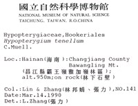 南亞孔雀蘚藏品圖，第2張