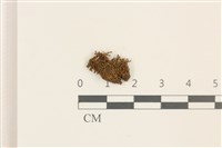 登錄號:B00008852藏品圖，第1張