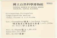 登錄號:B00008855藏品圖，第2張