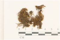 登錄號:B00008857藏品圖，第1張