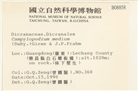 登錄號:B00008858藏品圖，第2張