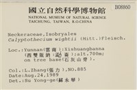 登錄號:B00008860藏品圖，第2張