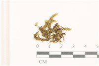 登錄號:B00008860藏品圖，第1張