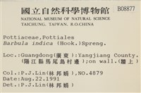 印度扭口蘚藏品圖，第2張