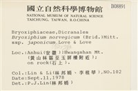 登錄號:B00008891藏品圖，第2張