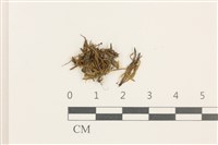 登錄號:B00008891藏品圖，第1張