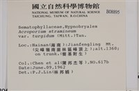 登錄號:B00008895藏品圖，第2張