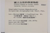 登錄號:B00008897藏品圖，第2張