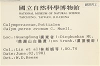 登錄號:B00008912藏品圖，第2張