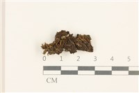 登錄號:B00008913藏品圖，第1張