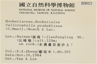 登錄號:B00008923藏品圖，第2張