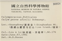 登錄號:B00008924藏品圖，第2張