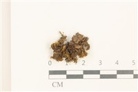 登錄號:B00008927藏品圖，第1張