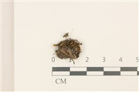 Accession Number:B00008944 Collection Image, Figure 1, Total 2 Figures