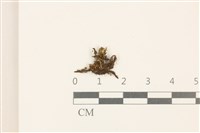 登錄號:B00008965藏品圖，第1張