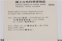 登錄號:B00008968藏品圖，第2張