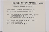 登錄號:B00008969藏品圖，第2張