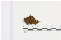 登錄號:B00008970藏品圖，第1張