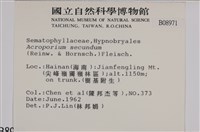 登錄號:B00008971藏品圖，第2張