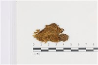 登錄號:B00008971藏品圖，第1張