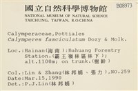 劍葉花葉蘚藏品圖，第2張