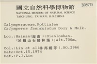 劍葉花葉蘚藏品圖，第2張