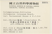 登錄號:B00008976藏品圖，第2張