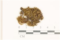 登錄號:B00008976藏品圖，第1張