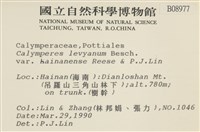 登錄號:B00008977藏品圖，第2張