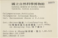 登錄號:B00008979藏品圖，第2張