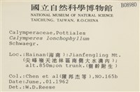 登錄號:B00008980藏品圖，第2張