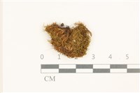 登錄號:B00008980藏品圖，第1張