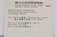 登錄號:B00008991藏品圖，第2張