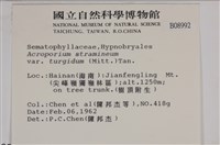 登錄號:B00008992藏品圖，第2張