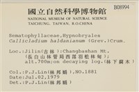 腐木蘚藏品圖，第2張