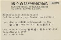 強肋蘚藏品圖，第2張