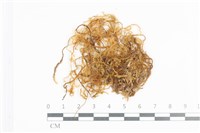 登錄號:B00009001藏品圖，第1張