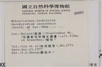 登錄號:B00009005藏品圖，第2張